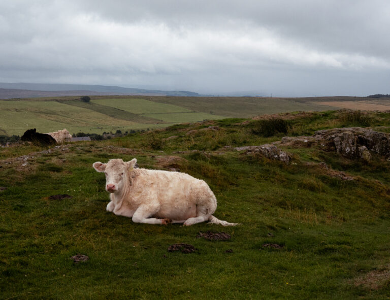 Edinburgh & Hadrian’s Wall